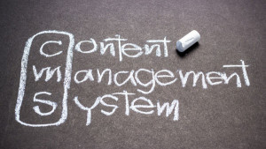 Does Having A Content Management System Help Your SEO Ranking